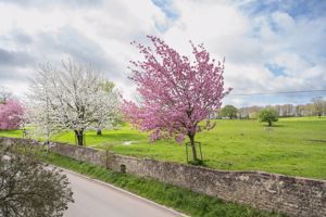 Views from Tanyard Houuse- click for photo gallery